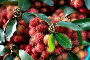 Manfaat Buah Rambutan: Tingkatkan Sistem Kekebalan Tubuh hingga Lancarkan Pencernaan