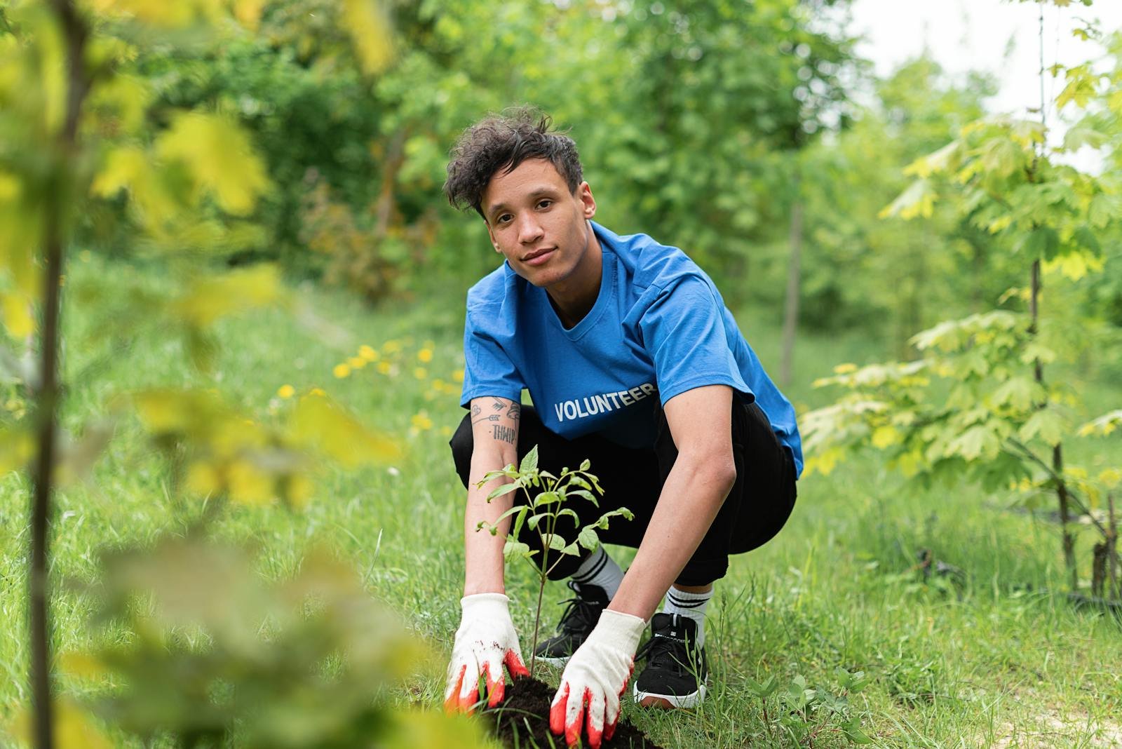 A dedicated volunteer planting a tree sapling in a lush green park environment.